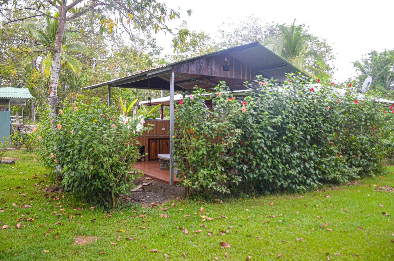 Hospedaje Y Alojamiento Cabanas Don Beto La Palma Kültér fotó