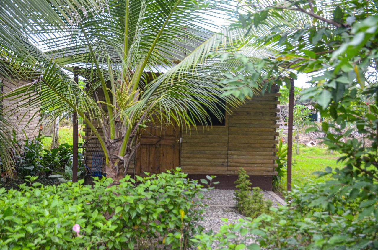 Hospedaje Y Alojamiento Cabanas Don Beto La Palma Kültér fotó